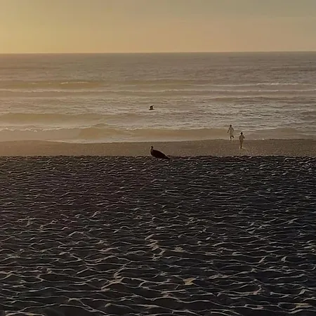 Casa Dos Peixes, Um Refúgio à Beira Mar