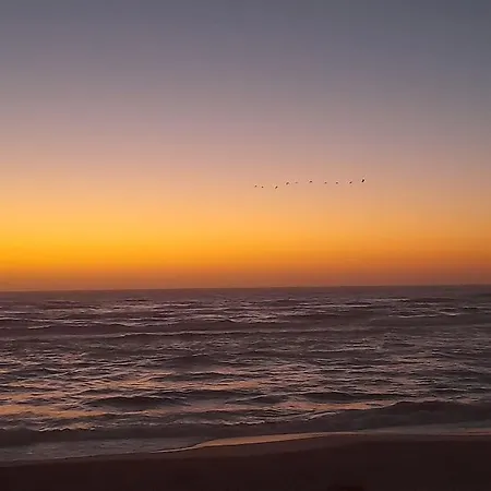 Apartamento Casa Dos Peixes, Um Refúgio à Beira Mar *
