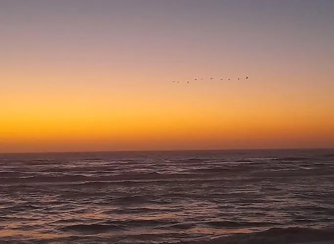 شقة Casa Dos Peixes, Um Refugio A Beira Mar *